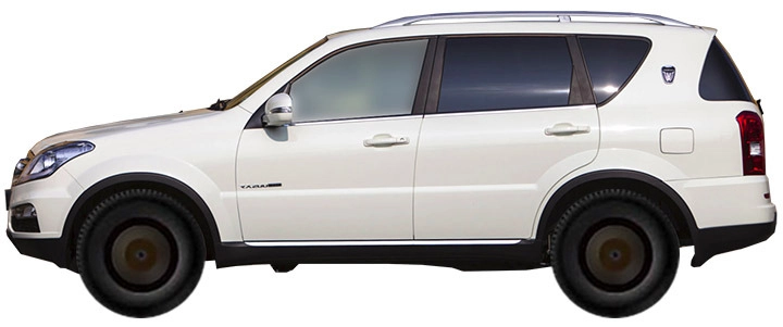 W Y290 (2012-2016)