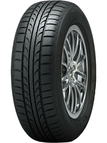 фото протектора и шины Zodiak 2 Шина Tunga ZODIAK 2 205/55 R16 94T